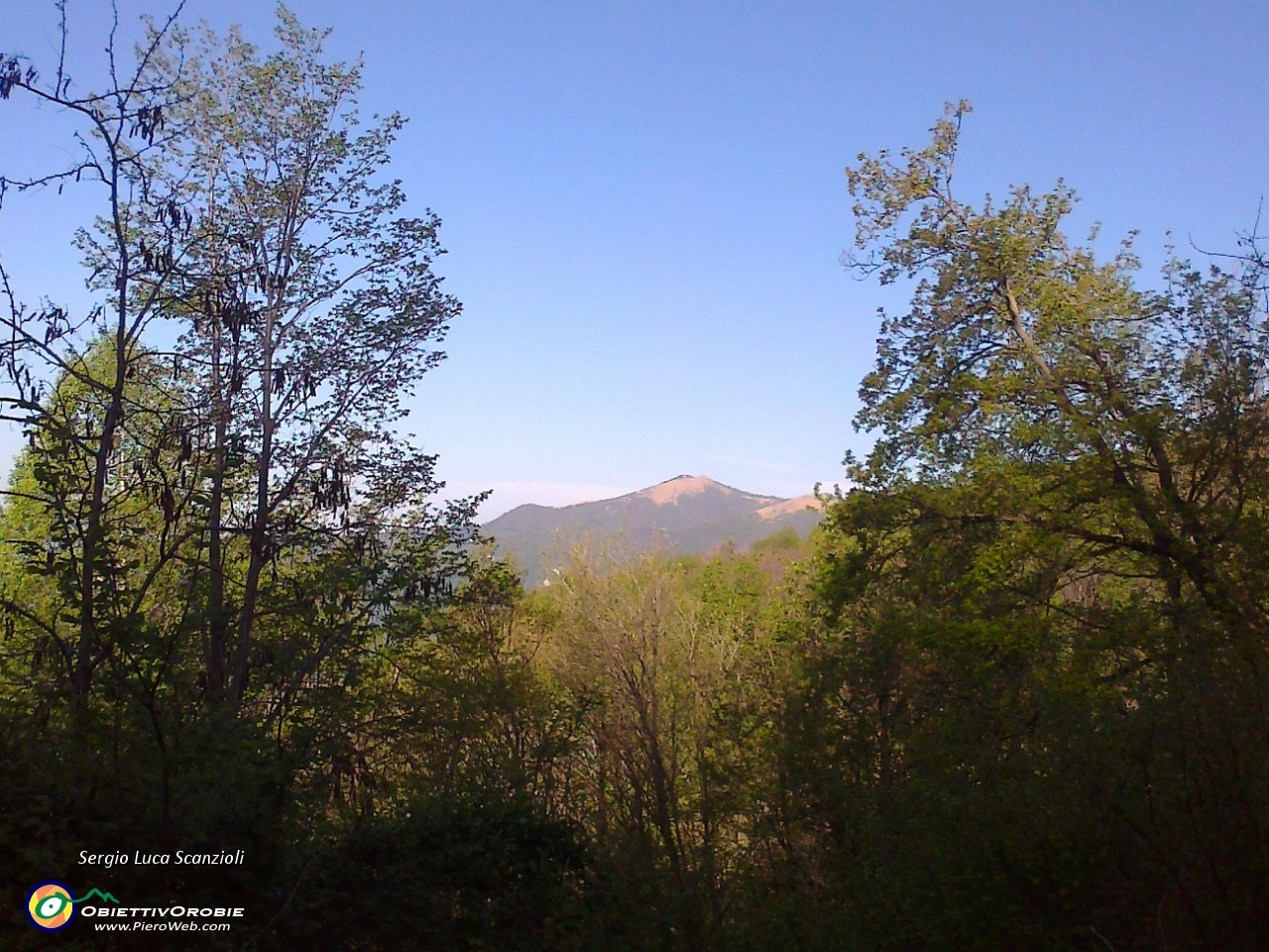 08 Meglio il bosco.jpg